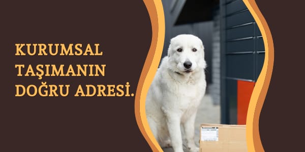 Senirkent Ambar