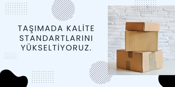 Vize Ambar